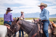 USA-Colorado-Bison and Cattle Working Ranch in Colorado